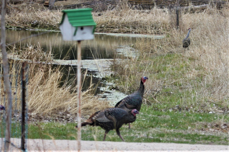 45324 Kilgore Road Gibbon, Nebraska 68840, 4 Bedrooms Bedrooms, ,3 BathroomsBathrooms,Residential,For Sale,45324 Kilgore Road,20250360