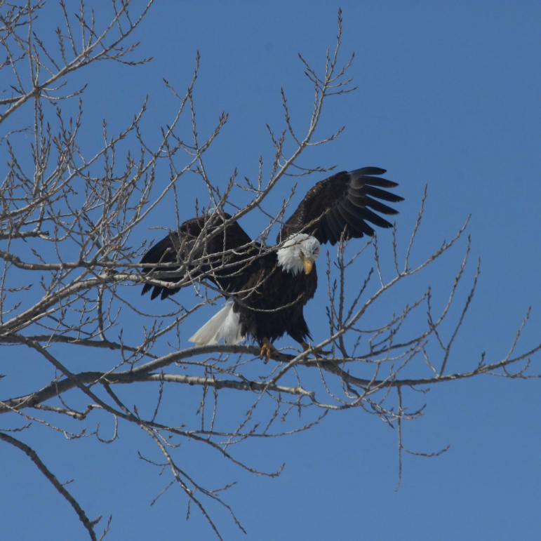 45324 Kilgore Road Gibbon, Nebraska 68840, 4 Bedrooms Bedrooms, ,3 BathroomsBathrooms,Residential,For Sale,45324 Kilgore Road,20250360