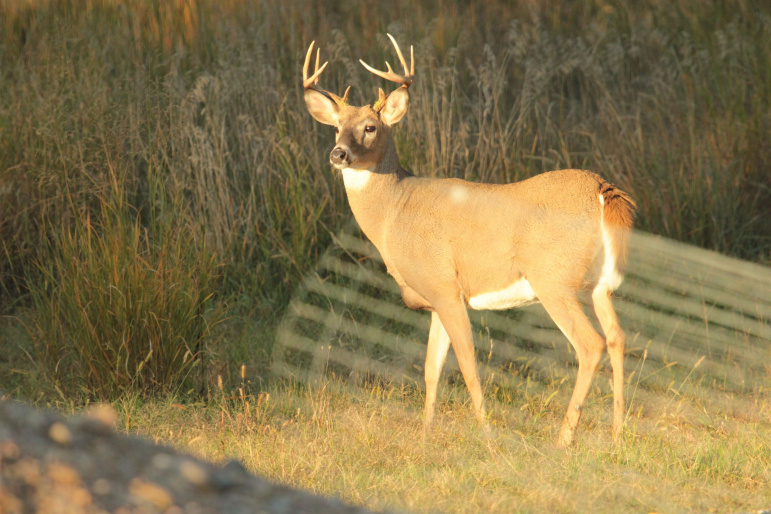 45324 Kilgore Road Gibbon, Nebraska 68840, 4 Bedrooms Bedrooms, ,3 BathroomsBathrooms,Residential,For Sale,45324 Kilgore Road,20250360