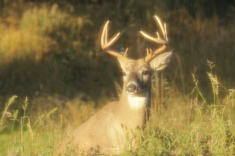 45324 Kilgore Road Gibbon, Nebraska 68840, 4 Bedrooms Bedrooms, ,3 BathroomsBathrooms,Residential,For Sale,45324 Kilgore Road,20250360