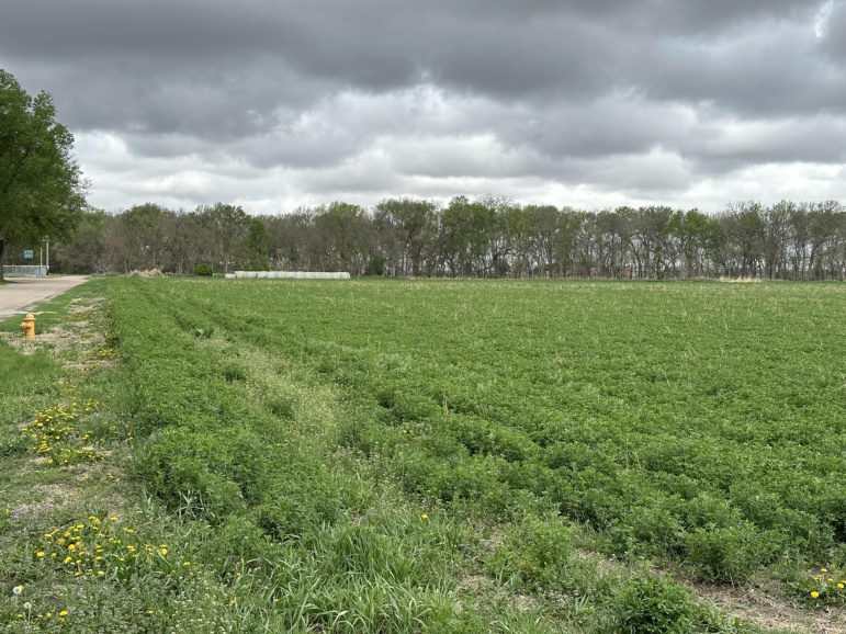 TBD Park Road Gibbon, Nebraska 68840, ,Land,For Sale,TBD Park Road,20250491