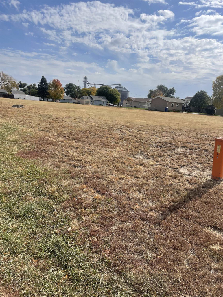 Ashland St Wallace, Nebraska 69169, ,Land,For Sale,Ashland St,20250087