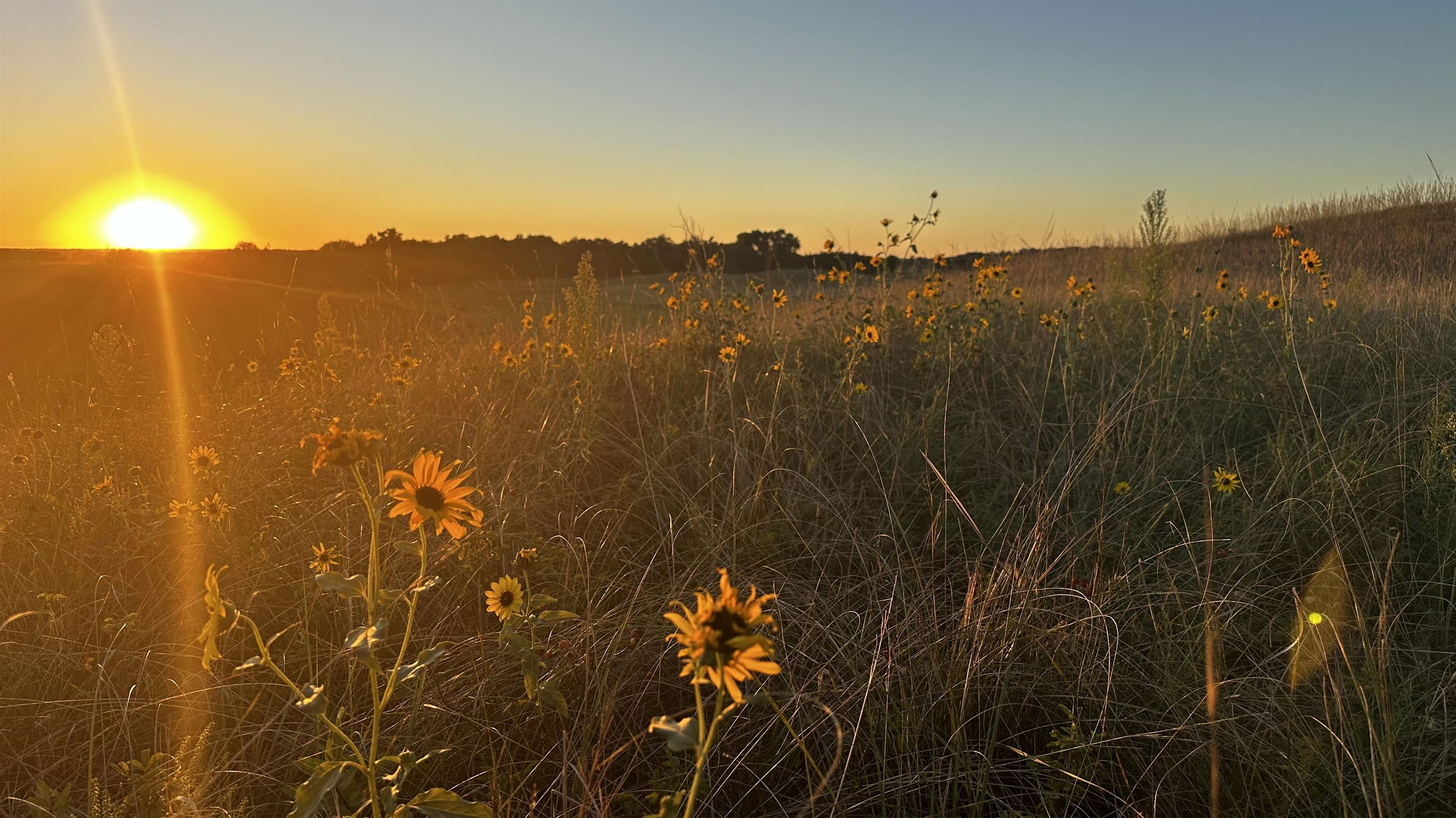 78021 HWY 58 Rockville, Nebraska 68871, ,Land,For Sale,78021 HWY 58,20251085