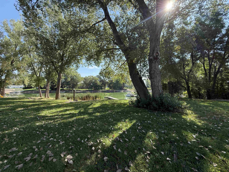 51 Sonja Drive Doniphan, Nebraska 68832, 5 Bedrooms Bedrooms, ,4 BathroomsBathrooms,Residential,For Sale,51 Sonja Drive,20251244