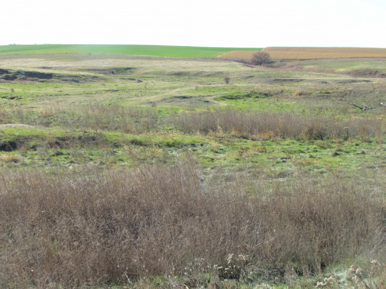 TBD Watertown Road Amherst, Nebraska 68812, ,Land,For Sale,TBD Watertown Road,20251440