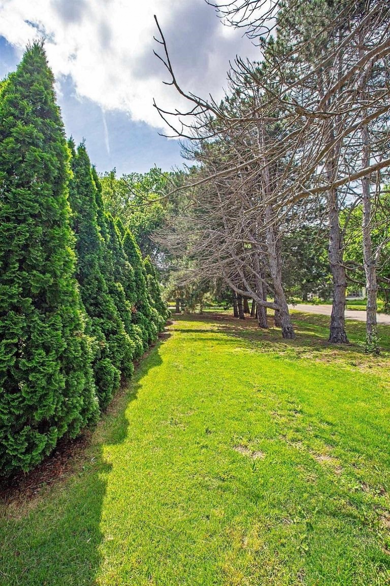 41 S Montgomery Street Nelson, Nebraska 68961, 4 Bedrooms Bedrooms, ,2 BathroomsBathrooms,Residential,For Sale,41 S Montgomery Street,20251441