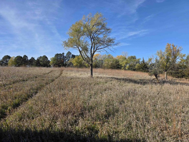 Lot 2 Dove Hill Avenue & 90th Kearney, Nebraska 68845, ,Land,For Sale,Lot 2 Dove Hill Avenue & 90th,20251460
