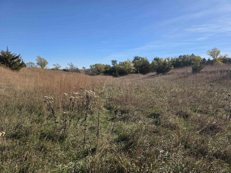 Lot 4 Dove Hill Avenue & 90th Kearney, Nebraska 68845, ,Land,For Sale,Lot 4 Dove Hill Avenue & 90th,20251458