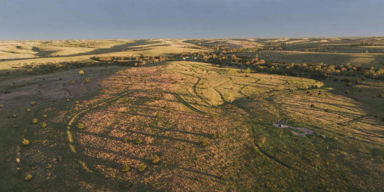 Lot F 13.5 Acres Kearney, Nebraska 68845, ,Land,For Sale,Lot F 13.5 Acres,20260133
