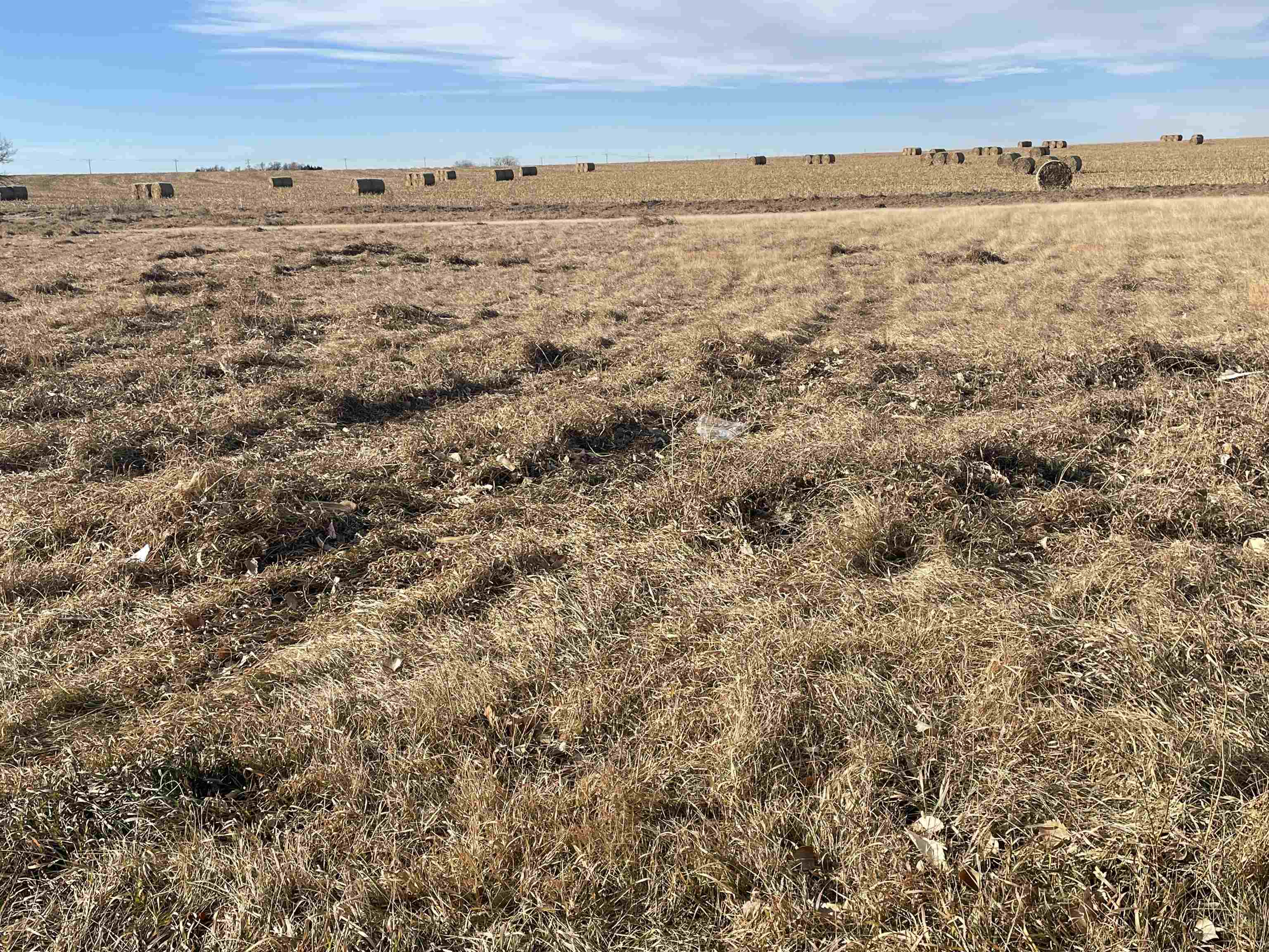 20 Haymeadow Ridge Hastings, Nebraska 68901, ,Land,For Sale,20 Haymeadow Ridge,20260195