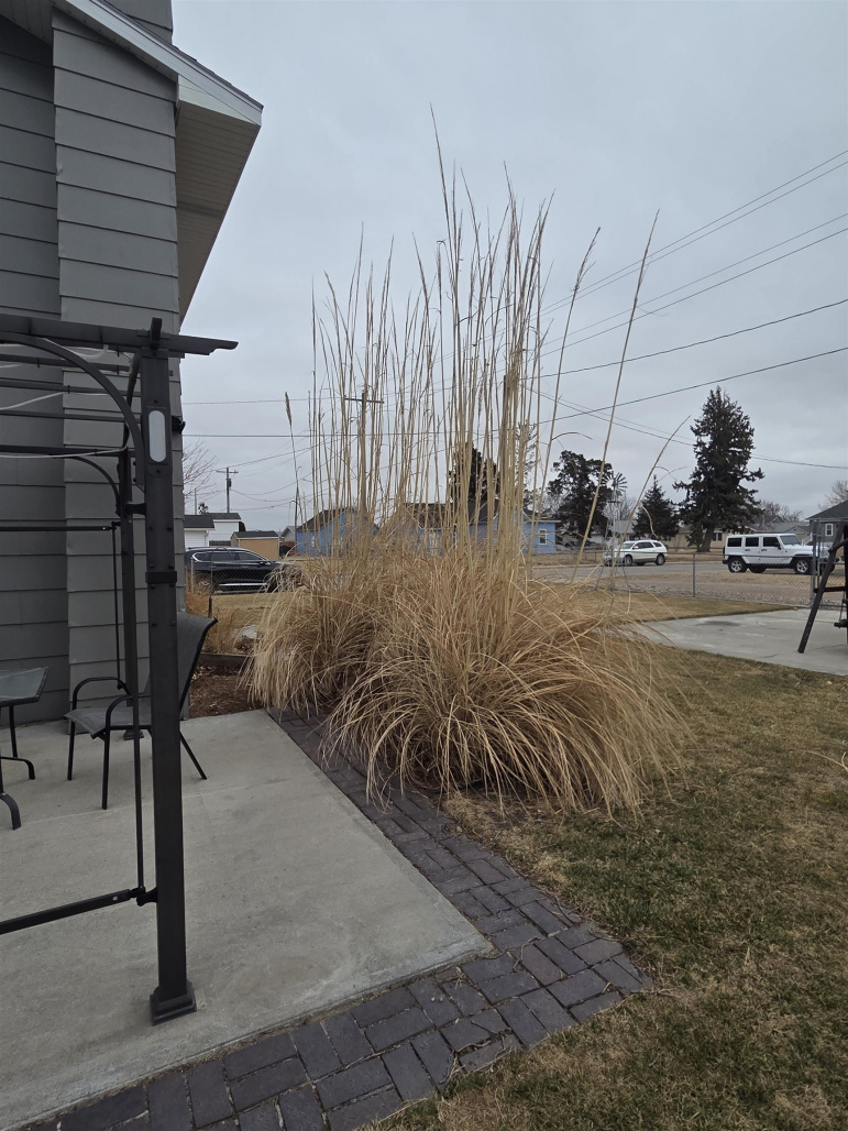 1215 B Cozad, Nebraska 69130, 3 Bedrooms Bedrooms, ,3 BathroomsBathrooms,Residential,For Sale,1215 B,20260291