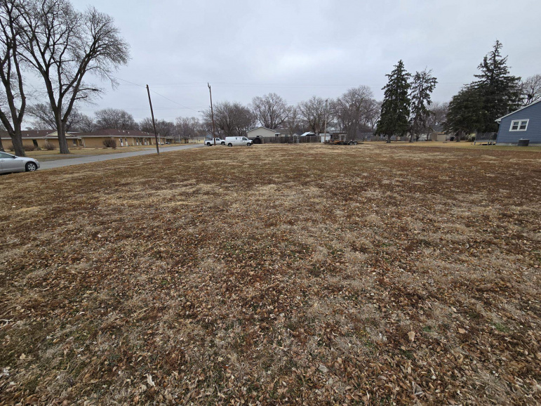 316 4th Street Shelton, Nebraska 68876, ,Land,For Sale,316 4th Street,20260298