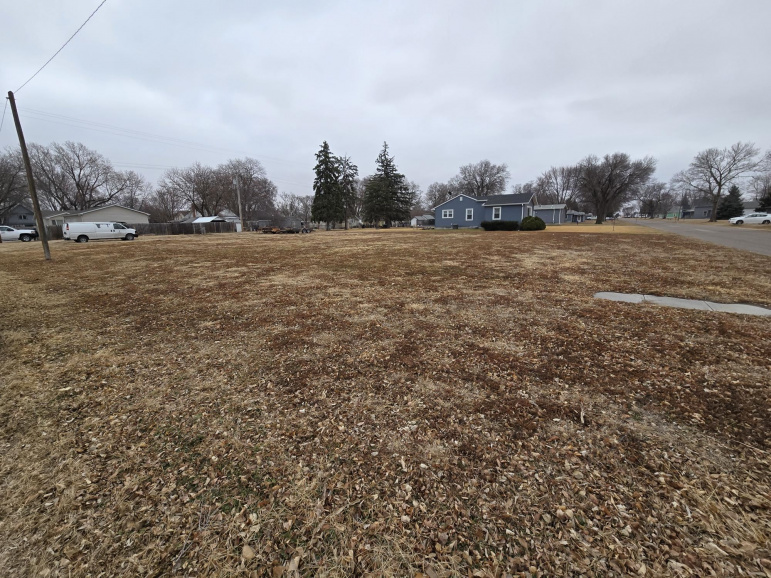 316 4th Street Shelton, Nebraska 68876, ,Land,For Sale,316 4th Street,20260298