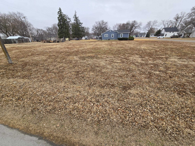 316 4th Street Shelton, Nebraska 68876, ,Land,For Sale,316 4th Street,20260298