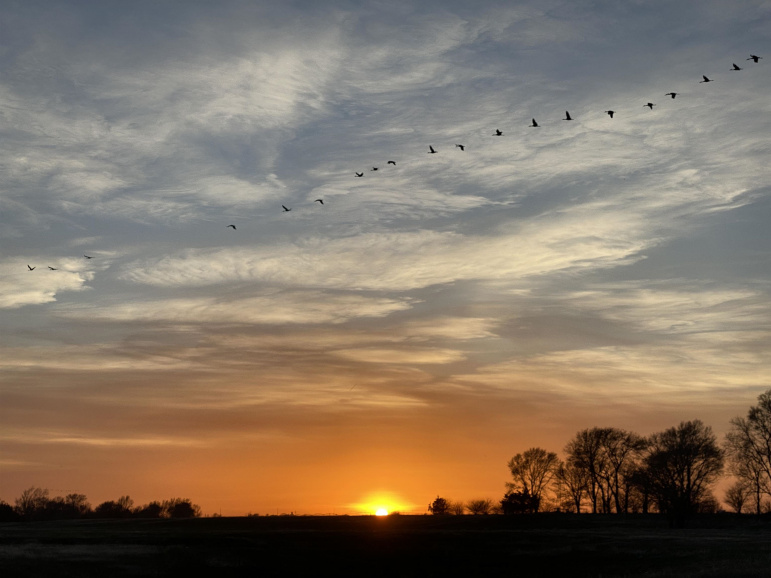 Lot 3 Petersen Estates Kearney, Nebraska 68847, ,Land,For Sale,Lot 3 Petersen Estates,20260407
