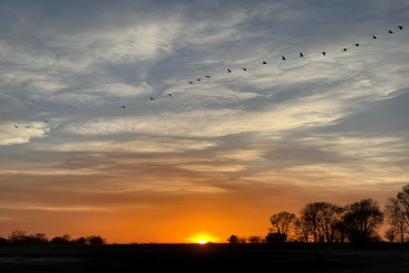 TBD 17.939 acres Kearney, Nebraska 68847, ,Land,For Sale,TBD 17.939 acres,20260472