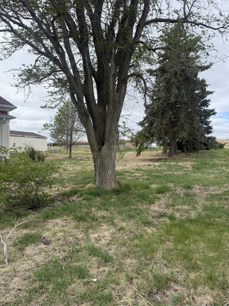 20460 Maple Road Gibbon, Nebraska 68840, 3 Bedrooms Bedrooms, ,2 BathroomsBathrooms,Residential,For Sale,20460 Maple Road,20260604