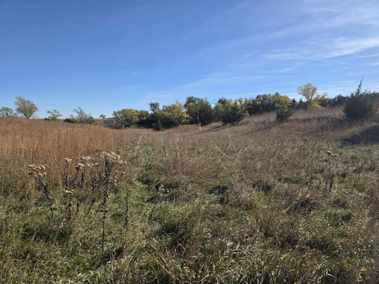 Lot 4 Dove Hill Avenue & 90th Kearney, Nebraska 68845, ,Land,For Sale,Lot 4 Dove Hill Avenue & 90th,20251458
