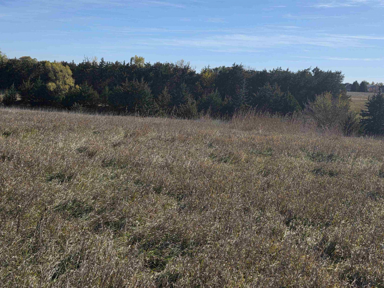 Lot 4 Dove Hill Avenue & 90th Kearney, Nebraska 68845, ,Land,For Sale,Lot 4 Dove Hill Avenue & 90th,20251458