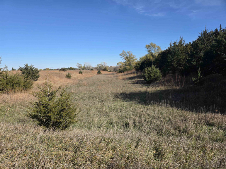 Lot 4 Dove Hill Avenue & 90th Kearney, Nebraska 68845, ,Land,For Sale,Lot 4 Dove Hill Avenue & 90th,20251458