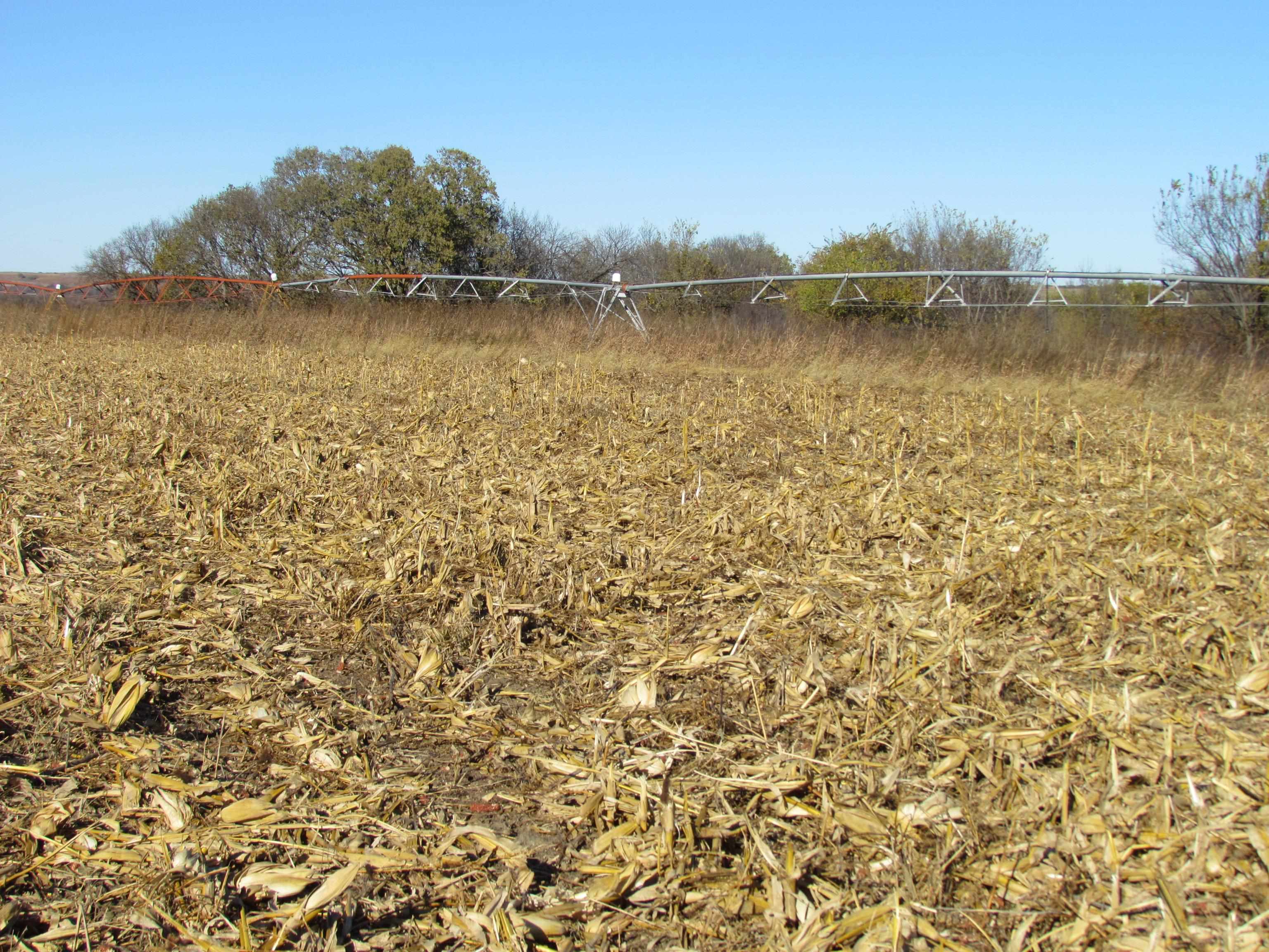 TBD Watertown Road Amherst, Nebraska 68812, ,Land,For Sale,TBD Watertown Road,20260695