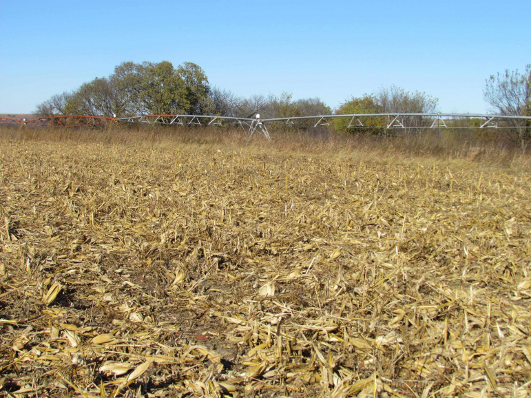 TBD Watertown Road Amherst, Nebraska 68812, ,Land,For Sale,TBD Watertown Road,20260695