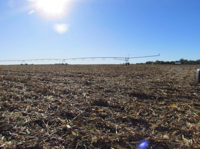 TBD Watertown Road Amherst, Nebraska 68812, ,Land,For Sale,TBD Watertown Road,20260695