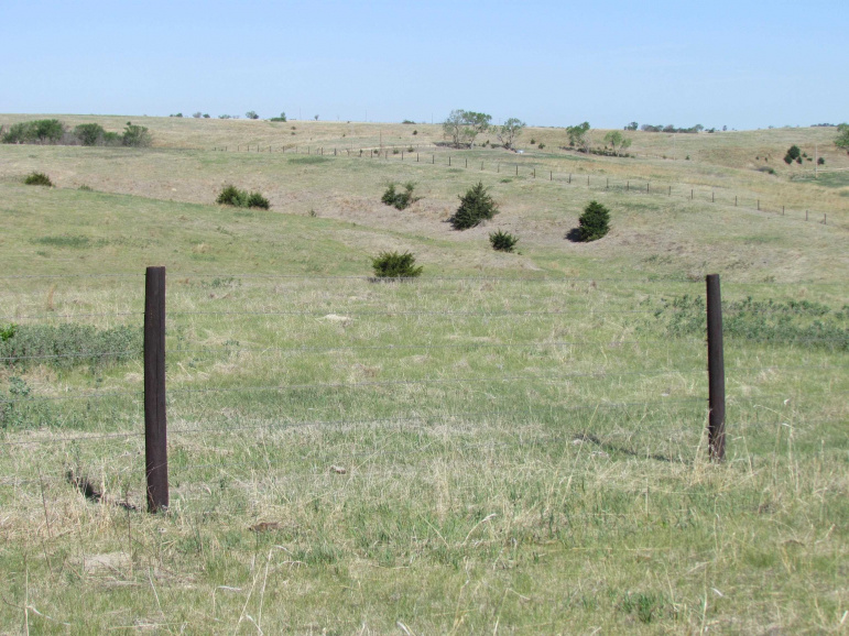 TBD Watertown Road Amherst, Nebraska 68812, ,Land,For Sale,TBD Watertown Road,20260694