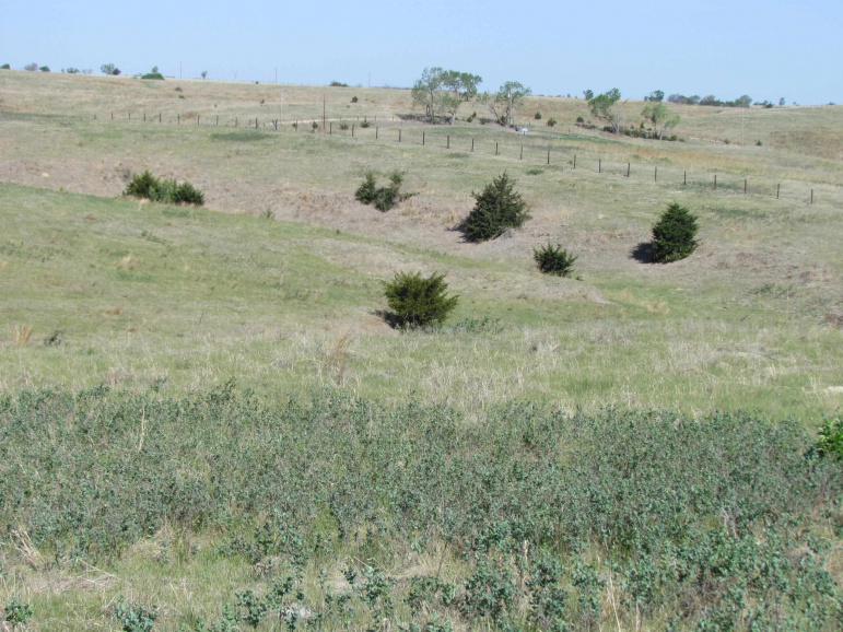 TBD Watertown Road Amherst, Nebraska 68812, ,Land,For Sale,TBD Watertown Road,20260694