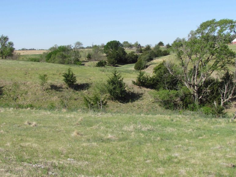 TBD Watertown Road Amherst, Nebraska 68812, ,Land,For Sale,TBD Watertown Road,20260694