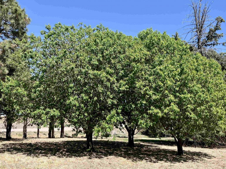 28105 115th Road Kearney, Nebraska 68845, 4 Bedrooms Bedrooms, ,3 BathroomsBathrooms,Residential,For Sale,28105 115th Road,20260599