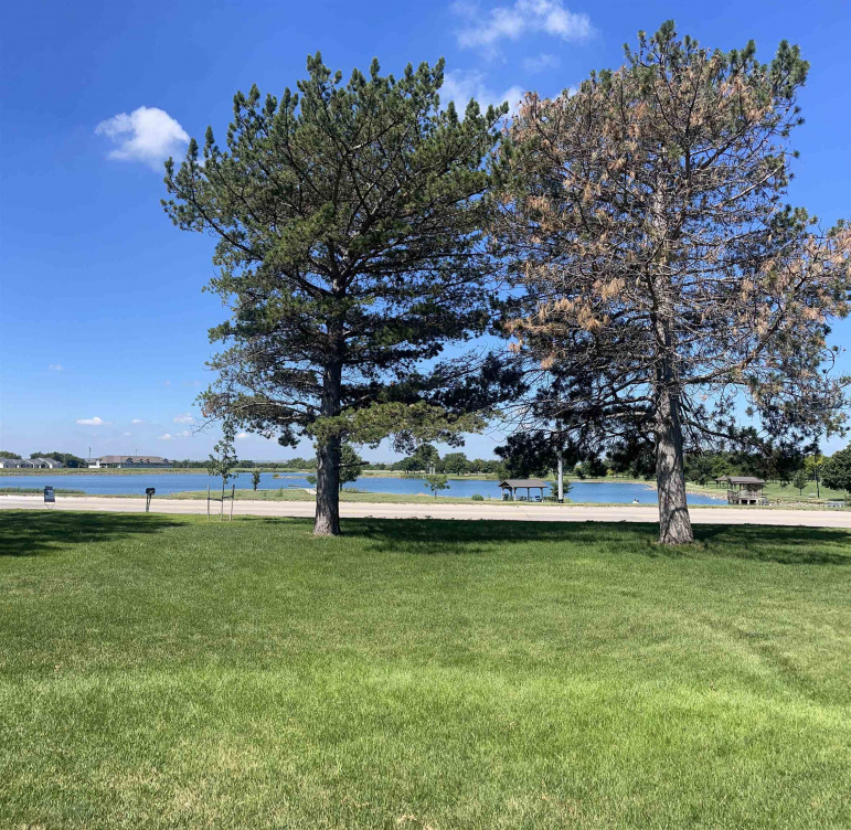 2311 Lake Avenue Gothenburg, Nebraska 69138-0000, 3 Bedrooms Bedrooms, ,3 BathroomsBathrooms,Residential,For Sale,2311 Lake Avenue,20260792