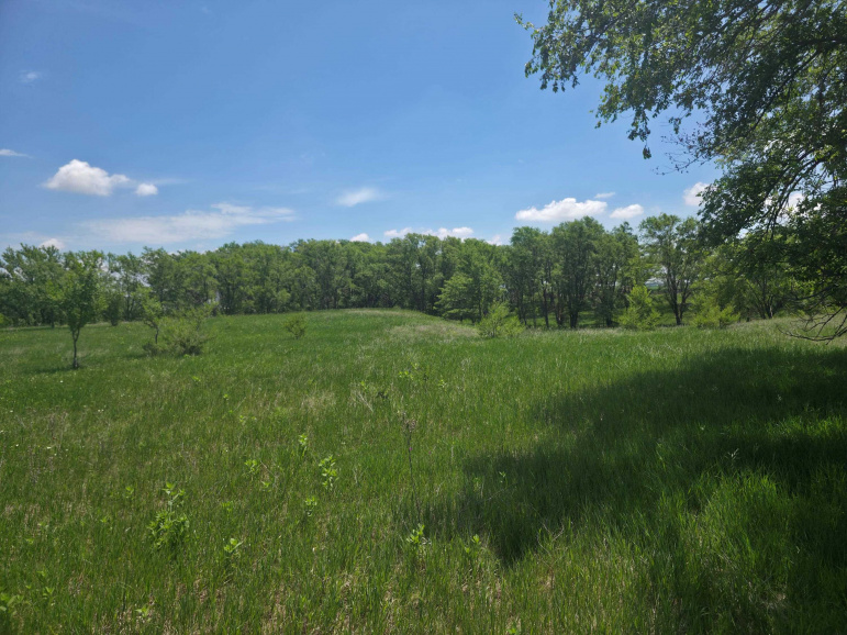 TBD Hwy 40 Riverdale, Nebraska 68870, ,Land,For Sale,TBD Hwy 40,20260847