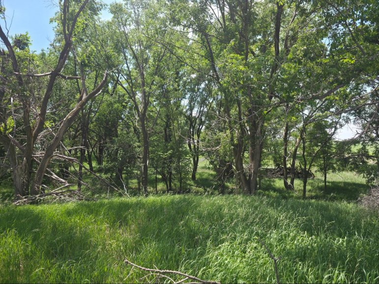 TBD Hwy 40 Riverdale, Nebraska 68870, ,Land,For Sale,TBD Hwy 40,20260847