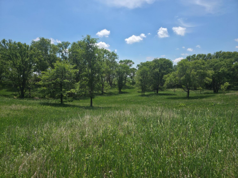 TBD Hwy 40 Riverdale, Nebraska 68870, ,Land,For Sale,TBD Hwy 40,20260847