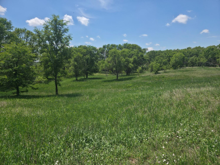 TBD Hwy 40 Riverdale, Nebraska 68870, ,Land,For Sale,TBD Hwy 40,20260847