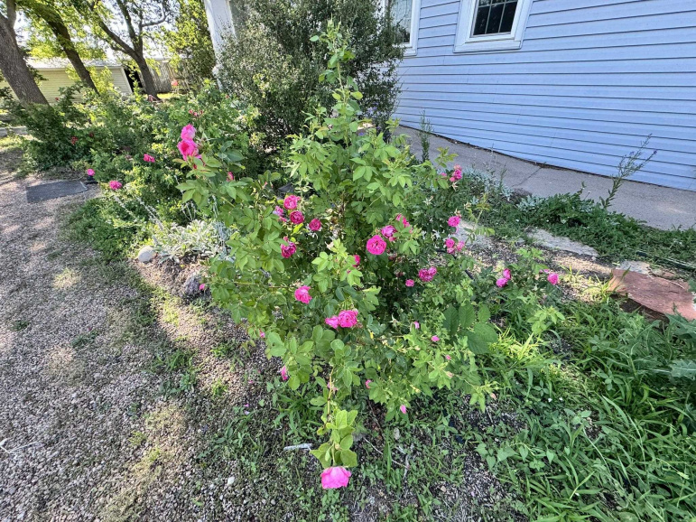 41861 W Railroad Street Cozad, Nebraska 69130, 3 Bedrooms Bedrooms, ,3 BathroomsBathrooms,Residential,For Sale,41861 W Railroad Street,20260870