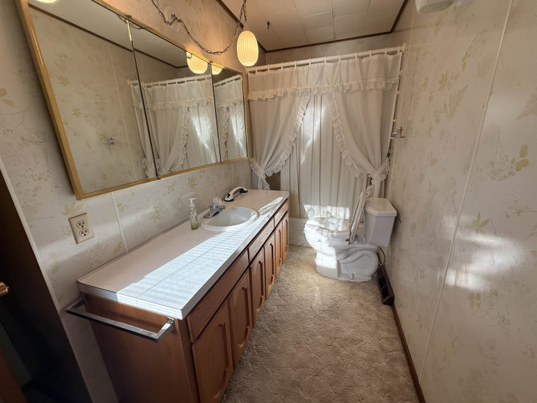 710 Sycamore Street Pleasanton, Nebraska 68866, 3 Bedrooms Bedrooms, ,2 BathroomsBathrooms,Residential,For Sale,710 Sycamore Street,20260916
