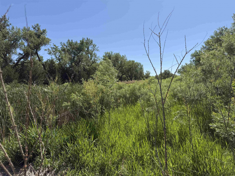 S I 80 Lexington, Nebraska 68850, ,Land,For Sale,S I 80,20260943