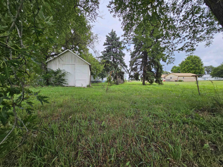 18063 W Fillmore Street Holstein, Nebraska 68950, ,Land,For Sale,18063 W Fillmore Street,20261129