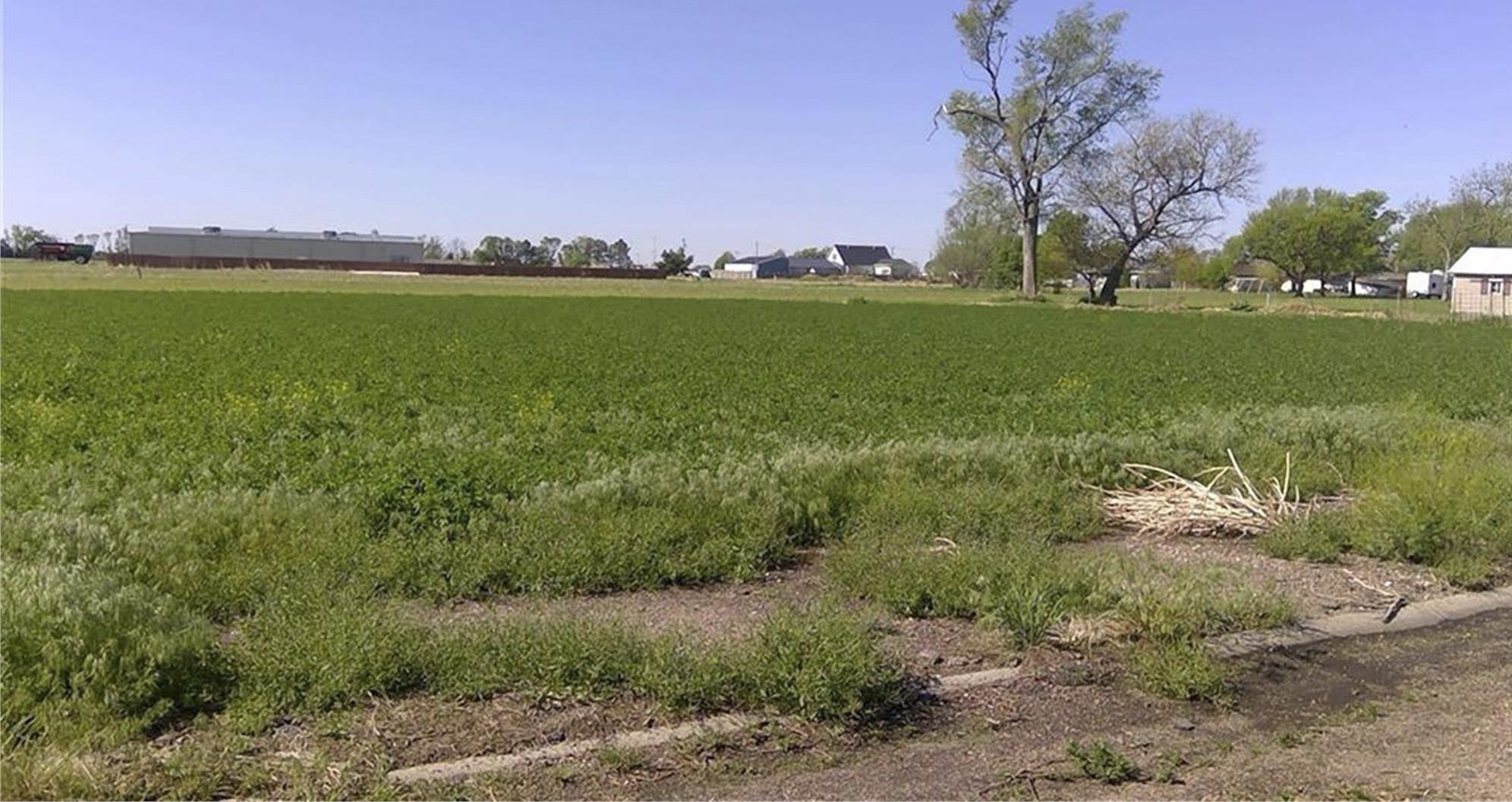 TBD E Calkins Avenue Elm Creek, Nebraska 68840, ,Land,For Sale,TBD E Calkins Avenue,20261255
