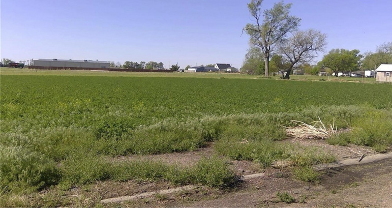 TBD E Calkins Avenue Elm Creek, Nebraska 68840, ,Land,For Sale,TBD E Calkins Avenue,20261255