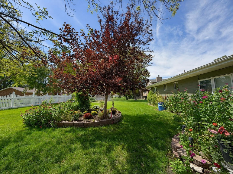 200 Cherokee Road Lexington, Nebraska 68850, 3 Bedrooms Bedrooms, ,2 BathroomsBathrooms,Residential,For Sale,200 Cherokee Road,20261306