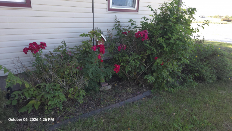 1245 N Tower Minden, Nebraska 68959, 3 Bedroom Bedrooms, ,1 BathroomBathrooms,Residential,For Sale,1245 N Tower,20261340